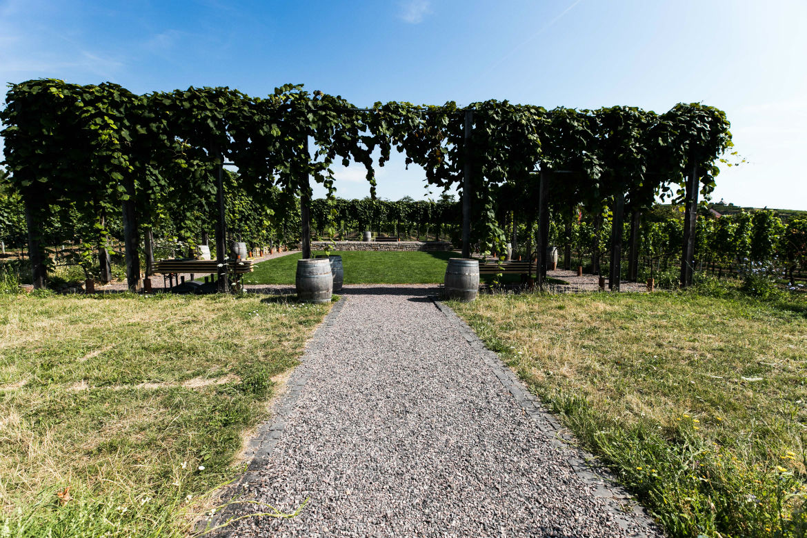 Hochzeitlocation Weingut Fitz-Ritter Rebarena in Bad Dürkheim Hochzeitlocation Weingut Fitz-Ritter Rebarena in Bad Dürkheim